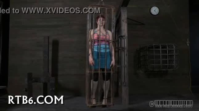 Enjoyable honey enters her cage
